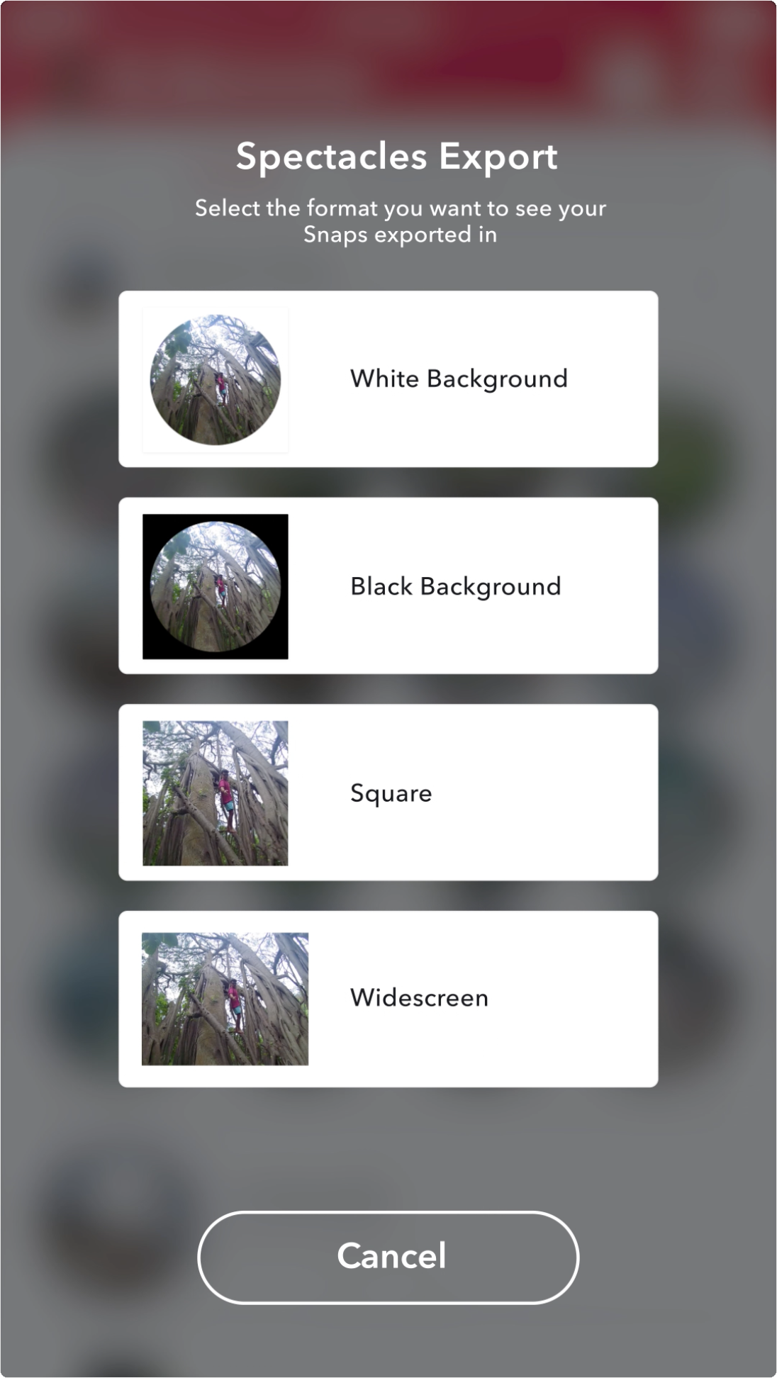 Export Your Snaps & Stories in Different Formats Spectacles Support