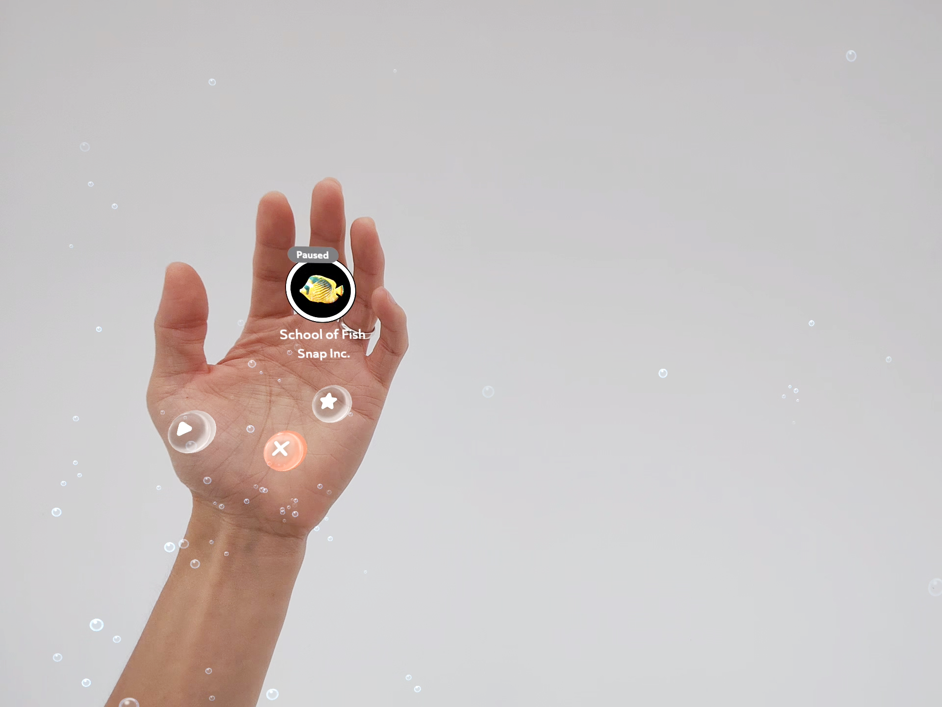 2-2_GS_31_PalmStatusInLens.png